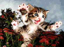 Load image into Gallery viewer, Cat, Pounce 100pc, Lenticular Puzzle