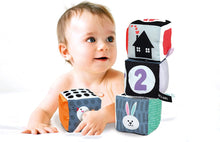 Load image into Gallery viewer, Baby Clemmy: Black and White Soft Activity Cubes
