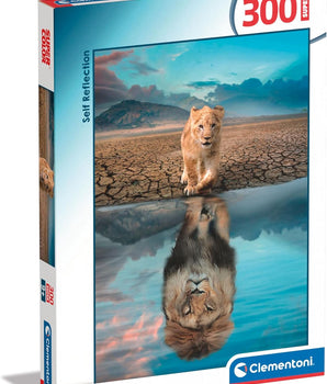 Self-Reflection, 300pcs