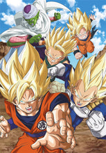 Load image into Gallery viewer, Dragon Ball, 104pcs