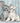 Cat & Bunny, 500pcs, Compact