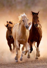 Load image into Gallery viewer, RUNNING HORSES  1000PCS, CB