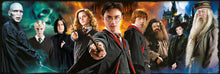 Load image into Gallery viewer, Panorama, 1000pc Harry Potter Puzzle,