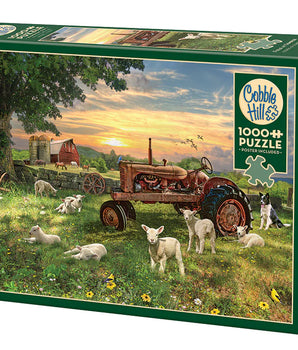 Field at Sunrise, 1000pc Puzzle, Compact