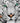 White Siberian Tiger, 1000pcs