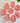 Wild Dough, Stamper and Cutter Sets, Christmas
