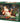 Santa Painting Cars, 1000pcs, Compact