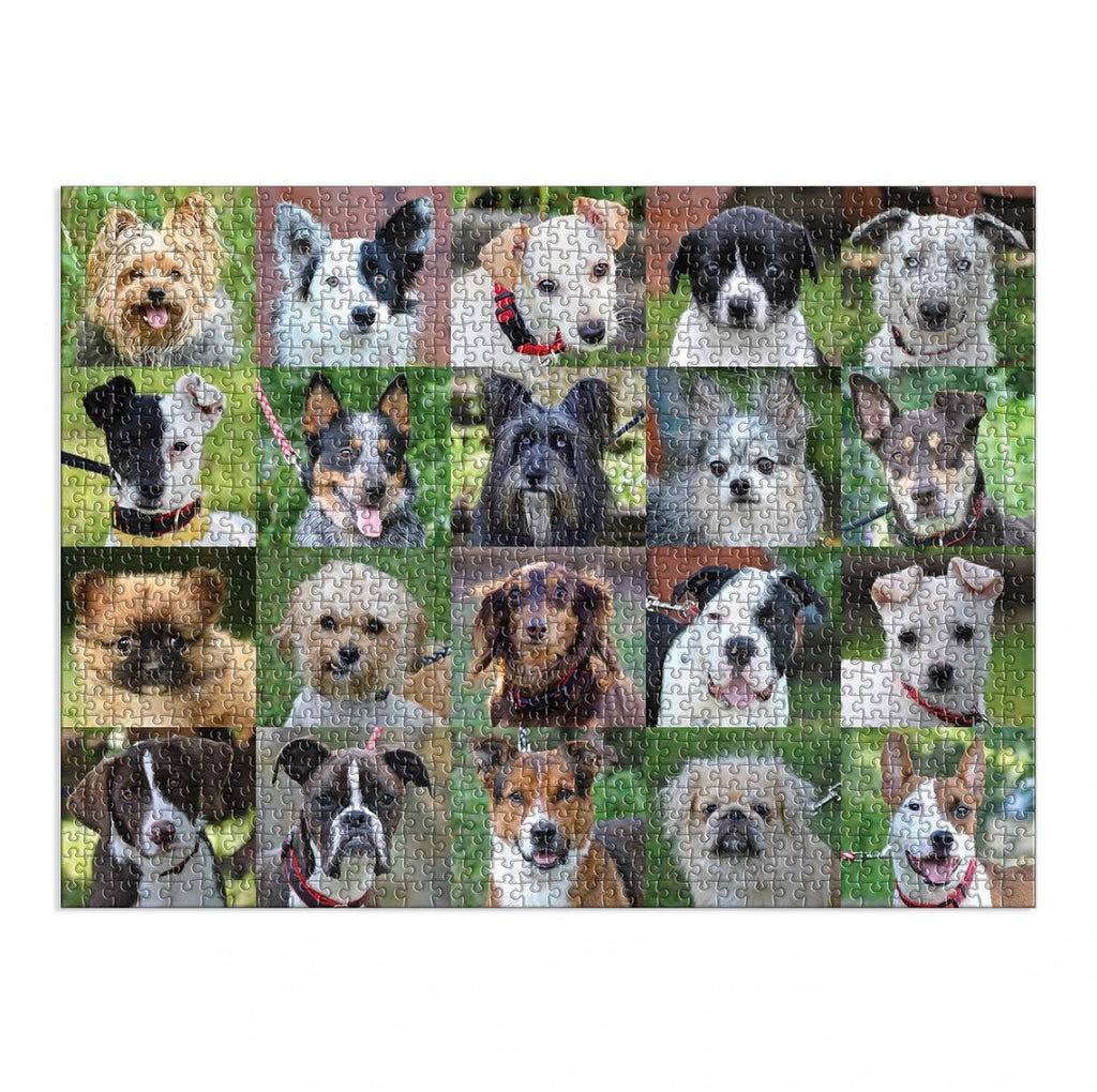 Rescue Dogs 1000 Piece Puzzle