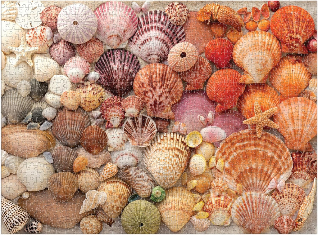 Vibrant Seashells, 1000 Piece Puzzle