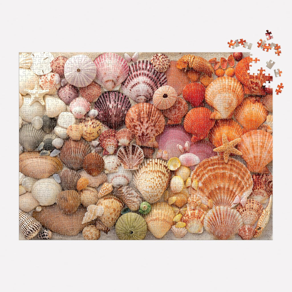 Vibrant Seashells, 1000 Piece Puzzle