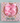 Mon Coco Hair Bow - Pink x 2