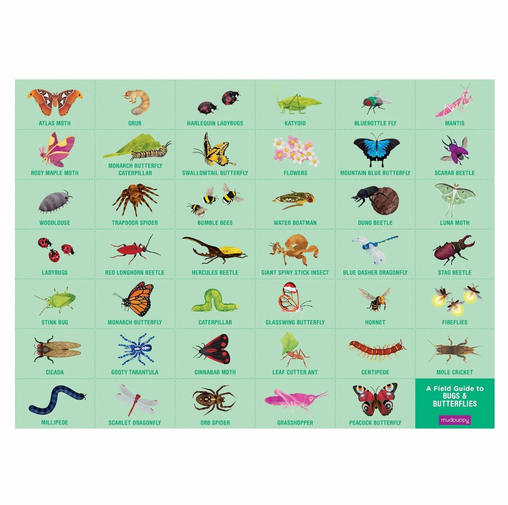 Search & Find Bugs & Butterflies 64 Piece Puzzle