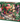 The Garden Wall, 1000pc Puzzle, Compact