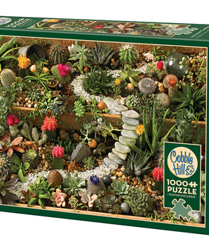 SUCCULENT GARDEN, 1000PCS, Compact