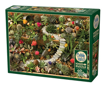 Load image into Gallery viewer, SUCCULENT GARDEN, 1000PCS, Compact