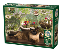 Load image into Gallery viewer, TERRARIUM CAT, 1000PCS, Compact