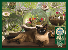 Load image into Gallery viewer, TERRARIUM CAT, 1000PCS, Compact