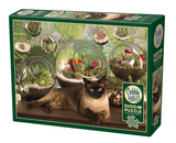 TERRARIUM CAT, 1000PCS, Compact