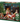 Christmas Puppies, 1000pc puzzle, Compact