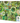 THE RAINBOW PROJECT 1000PC GREEN, COMPACT