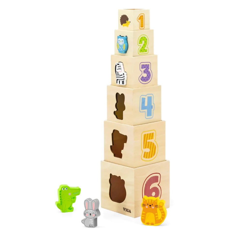 Nesting & Stacking Blocks