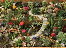 Load image into Gallery viewer, SUCCULENT GARDEN, 1000PCS
