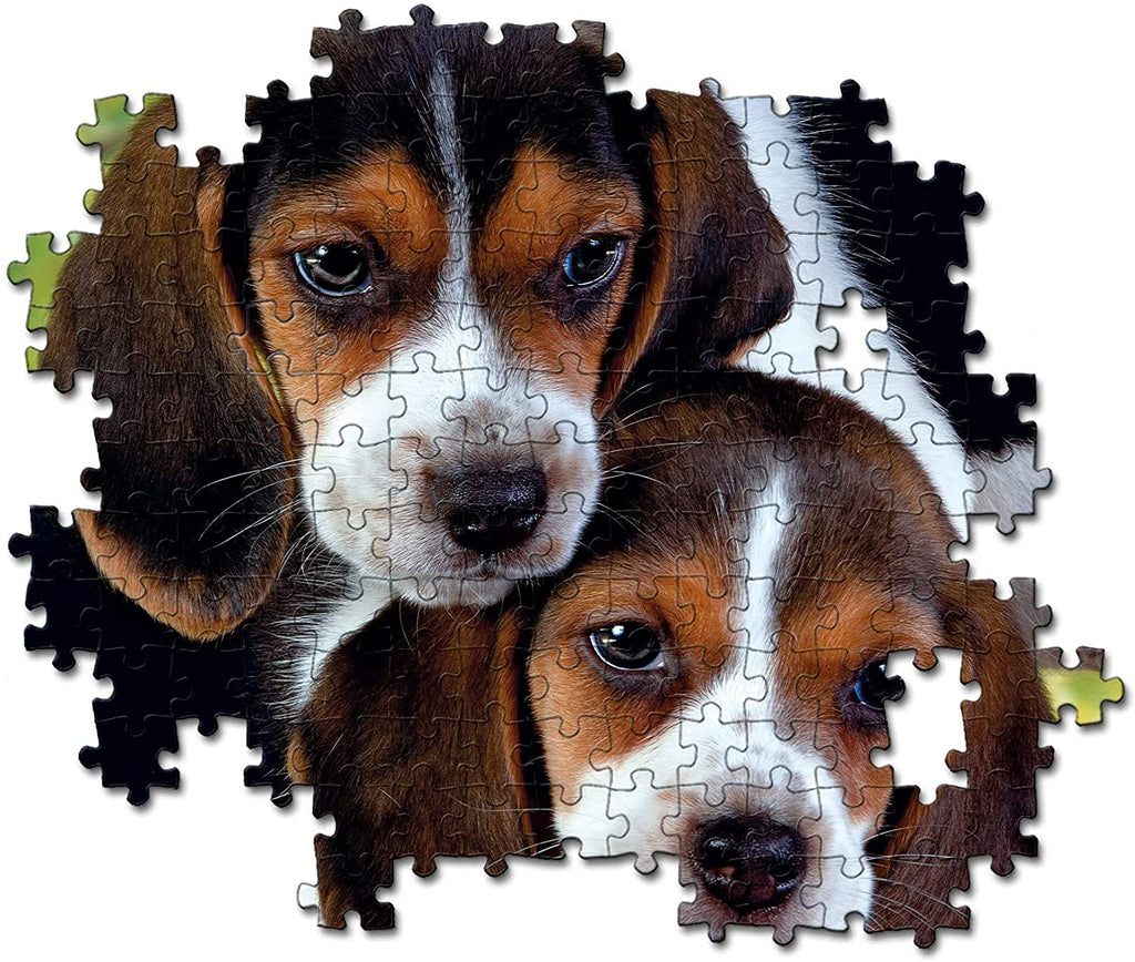 500pc Close Together Puzzle - Beagle Puppies