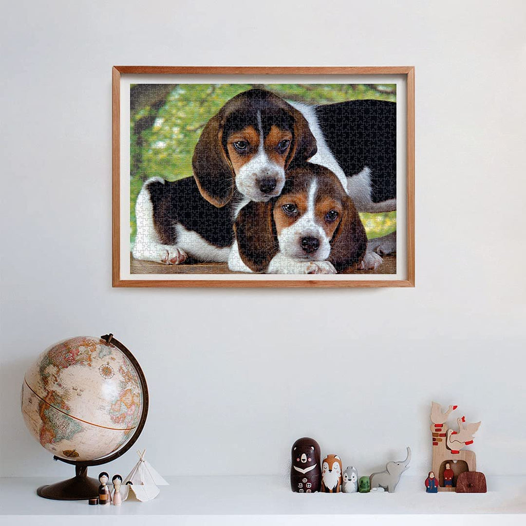 500pc Close Together Puzzle - Beagle Puppies