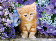 Load image into Gallery viewer, GINGER CAT IN FLOWERS  500PCS