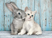 Load image into Gallery viewer, 500pc, Cat and Bunny