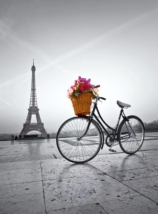 500pc, Romantic Promenade in Paris