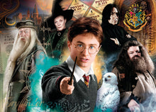 Load image into Gallery viewer, 500pc Harry Potter &amp; Dumbledore Puzzle - Adult