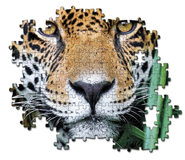 500pcs HQC Jaguar in the Jungle