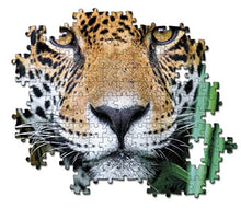 Load image into Gallery viewer, 500pcs HQC Jaguar in the Jungle