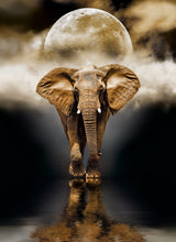 Load image into Gallery viewer, 1000pc, The Elephant
