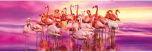 Load image into Gallery viewer, 1000pc, Panorama, Flamingo Dance