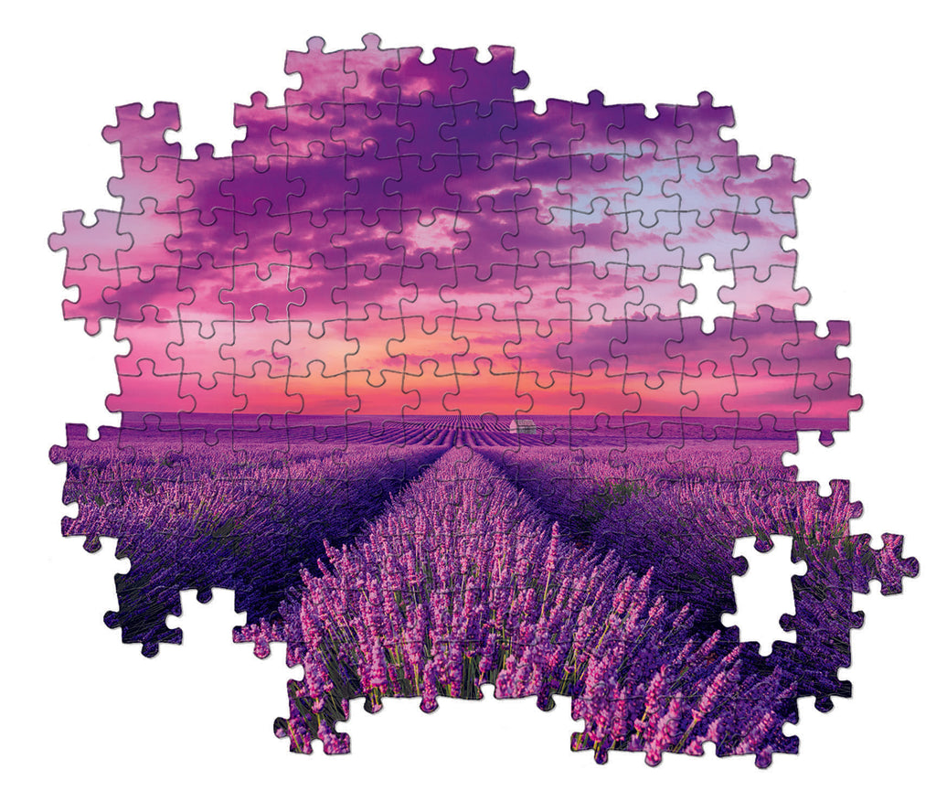 1000pc, Lavender Field