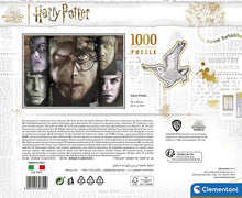 Load image into Gallery viewer, 1000pc Harry Potter Puzzle 2022, In Carry Case