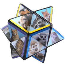 Load image into Gallery viewer, STAR CUBE WILDLIFE