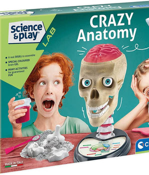 Science & Play: LAB Anatomy Lab