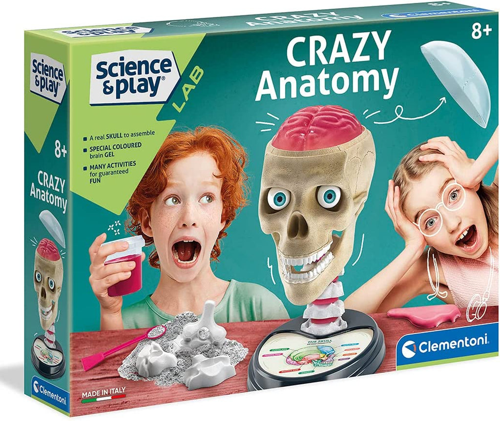 Science & Play: LAB Anatomy Lab