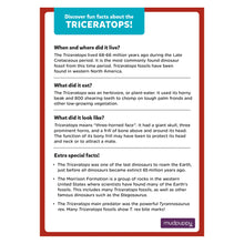Load image into Gallery viewer, TRICERATOPS MINI PUZZLE