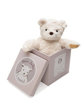 Load image into Gallery viewer, DARCY BEAR IN BOX
