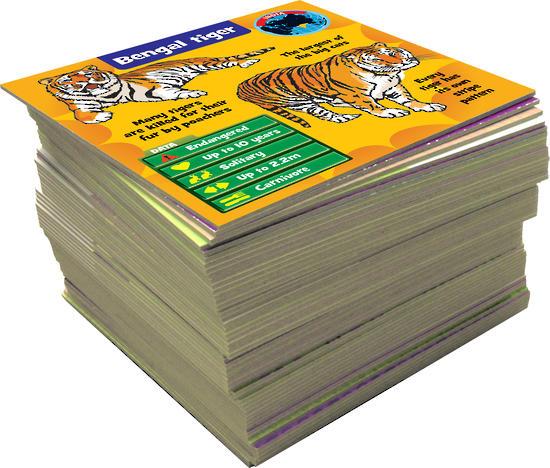 BRAINBOX ANIMALS  55 CARDS