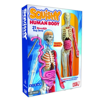 SQUISHY HUMAN BODY