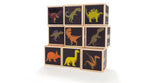 DINOSAUR BLOCKS  9PC