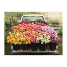 Load image into Gallery viewer, FLORET FARM&#39;S CUT FLOWER GARDEN 2-SIDED 500 PIECE PUZZLE