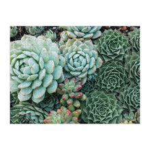 Load image into Gallery viewer, SUCCULENT GARDEN 2-SIDED 500 PIECE PUZZLE