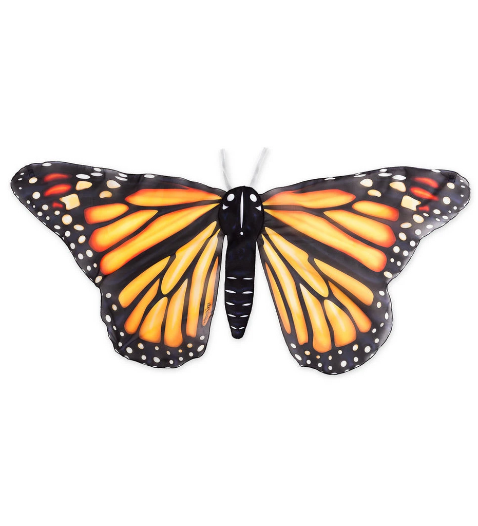 Beautiful Butterfly Wings Monarch