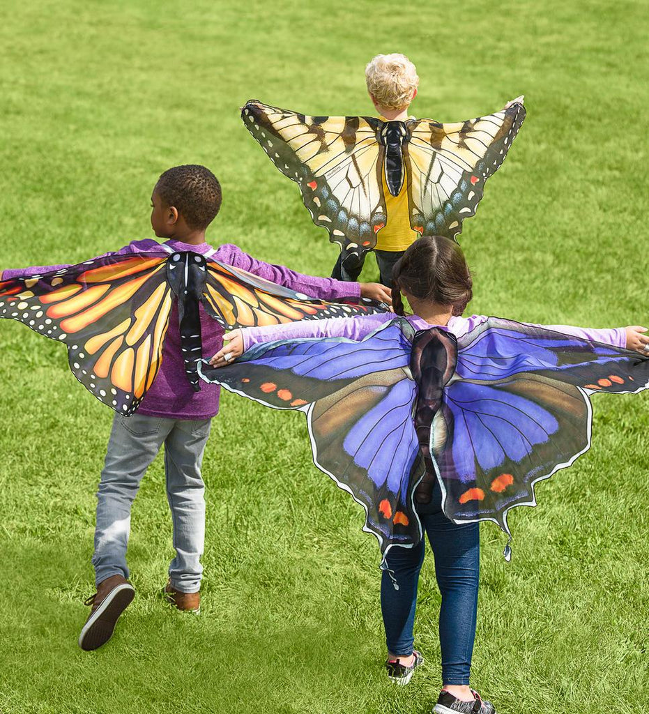 Beautiful Butterfly Wings Monarch